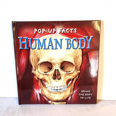 Lot #25 Pop-Up Book - The Human Body - great illustrations