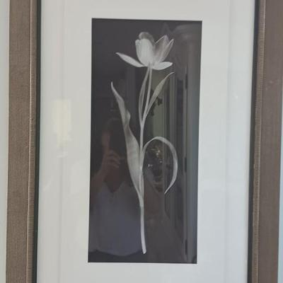 Pictures, art