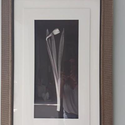 Pictures, art
