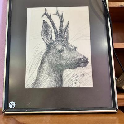 Sketched Deer Photo Signed