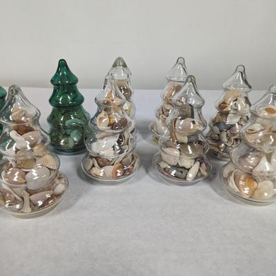 Assortment Of Sea Shells Choice 1