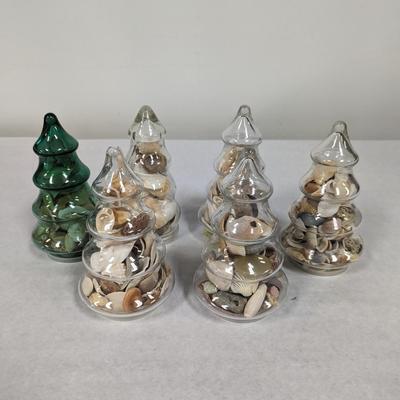 Assortment Of Sea Shells Choice 1