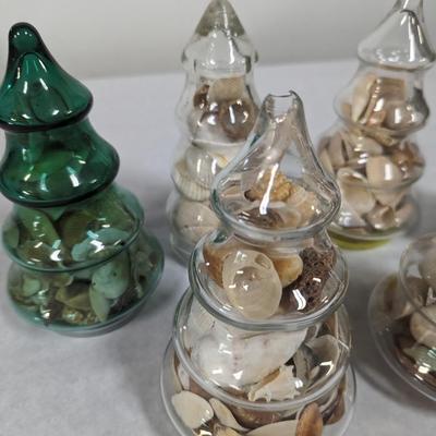 Assortment Of Sea Shells Choice 1