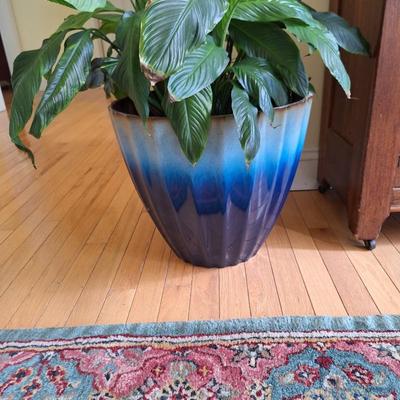 large blue planter