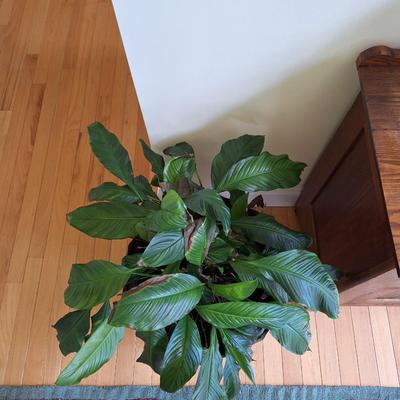 large blue planter