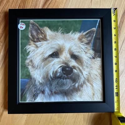 Dog Home Decor
