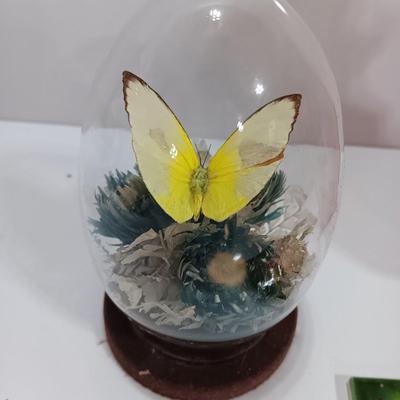 Vintage Taxidermy Butterfly in a cloche dome with Lillies on a tile and a pink decorative vase
