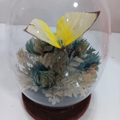 Vintage Taxidermy Butterfly in a cloche dome with Lillies on a tile and a pink decorative vase