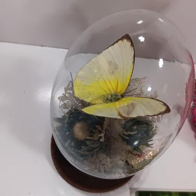 Vintage Taxidermy Butterfly in a cloche dome with Lillies on a tile and a pink decorative vase