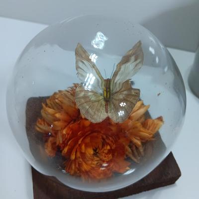 Vintage Taxidermy butterfly cloche dome with small ceramic plant pot and a blue decorative vase
