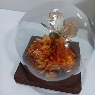 Vintage Taxidermy butterfly cloche dome with small ceramic plant pot and a blue decorative vase