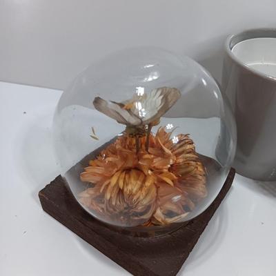 Vintage Taxidermy butterfly cloche dome with small ceramic plant pot and a blue decorative vase