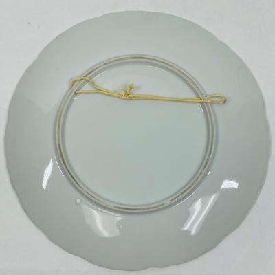 Vintage Plate Wall Hanging Still Life