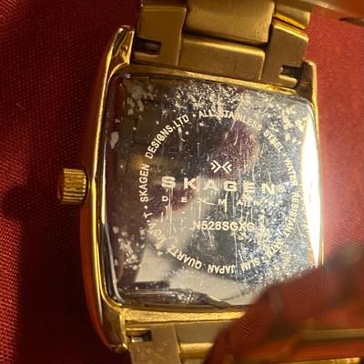 Skagen Denmark Watch