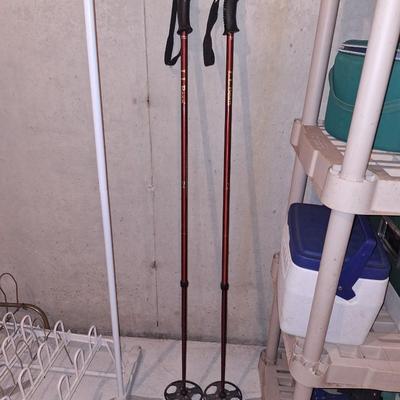 LLBean cross country poles