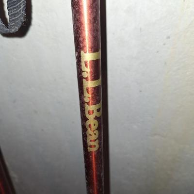 LLBean cross country poles