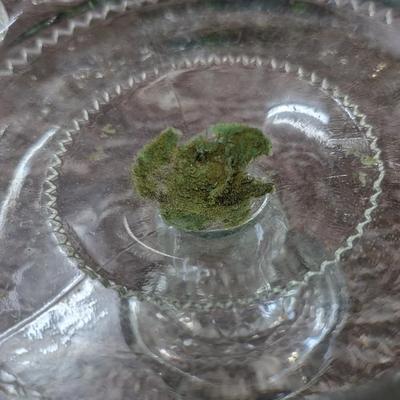 Vintage Large Glass Bowl Pedestal Metal Rim Flower Display