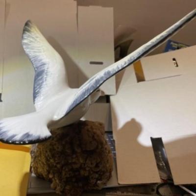 Vintage 15" Wingspan Ceramic Seagull Decoy on a Driftwood Base in Good Preowned Condition.