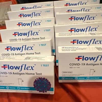 Lot of (12) Covid 19 Antigen home test