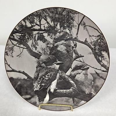 Royal Doulton Plate Young Kookaburras