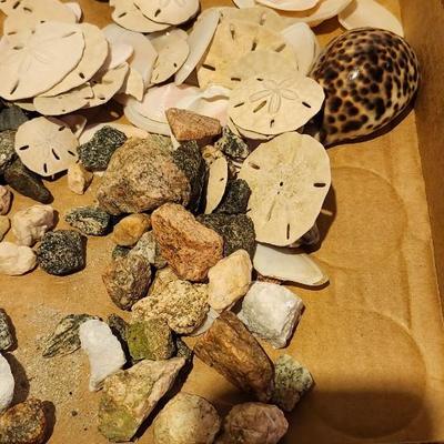 Vintage mason jar and sand dollars and rocks