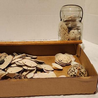 Vintage mason jar and sand dollars and rocks