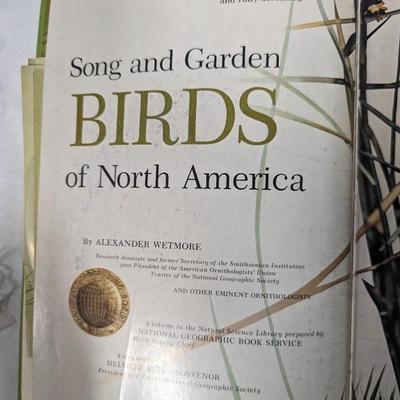 Song & Garden Birds Of North America