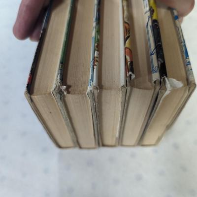 1930's & 1934's The Hardy Boys Series F. W. Dixon