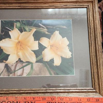 Six framed with matting flower photos, Wall Art