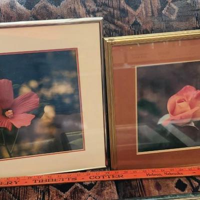 Six framed with matting flower photos, Wall Art
