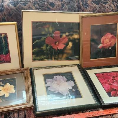 Six framed with matting flower photos, Wall Art
