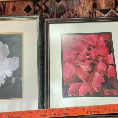Six framed with matting flower photos, Wall Art