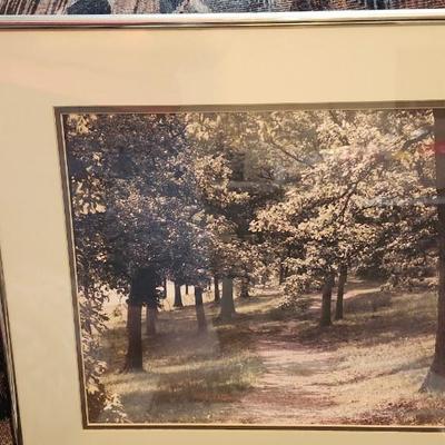 Fice Framed with matting land space photes, Wall art
