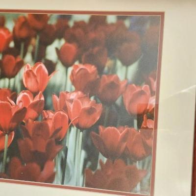 Framed with matting Flower photos, Wall Art
