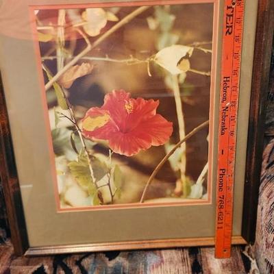 Framed with matting Flower photos, Wall Art