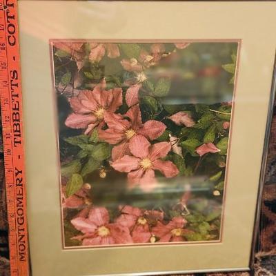 Framed with matting Flower photos, Wall Art