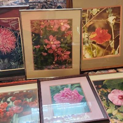 Framed with matting Flower photos, Wall Art