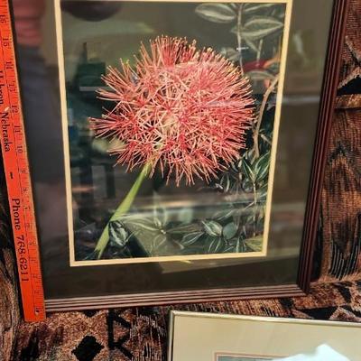 Framed with matting Flower photos, Wall Art