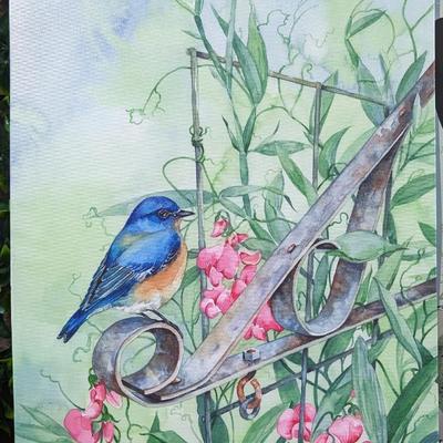 Lot of 5 Pictures Birds Butterflies Bluebirds Cardinal