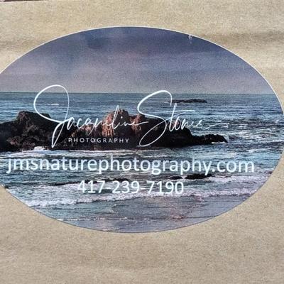 Jacqueline Jones Framed Photography Cardinal Art Wall Decor