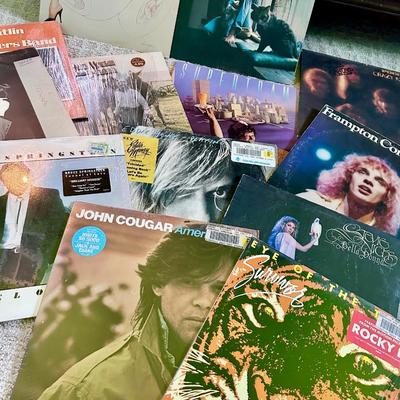 Vinyl Records - Huge selection