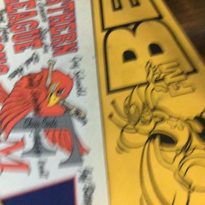 RedHawks/FM Bee Sports Pennants.