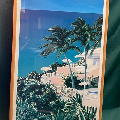 Tropical Picture