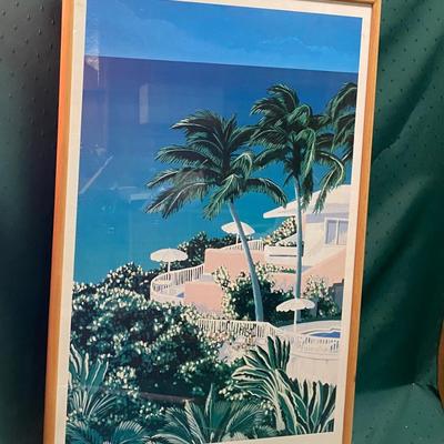Tropical Picture