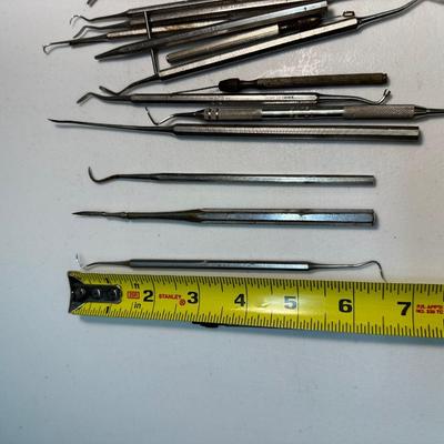 Stainless Pick Lot