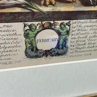 4 Robert Furber Floral Framed Prints - Feb., June, Sept., Nov.