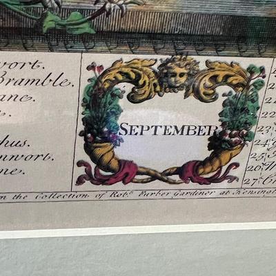 4 Robert Furber Floral Framed Prints - Feb., June, Sept., Nov.