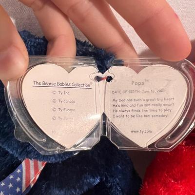American Themed Beanie Babies (B1-DZ)
