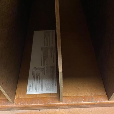 Vintage 2 Door Record Cabinet