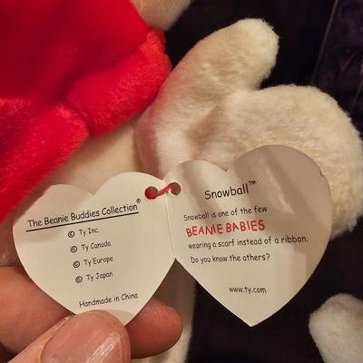 Assorted Beanie Baby Collectibles in Cases ( BDB-JS)
